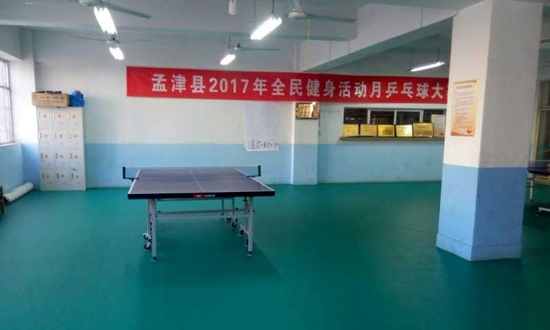 河南洛陽市孟津縣體育總局乒乓球運(yùn)動地膠